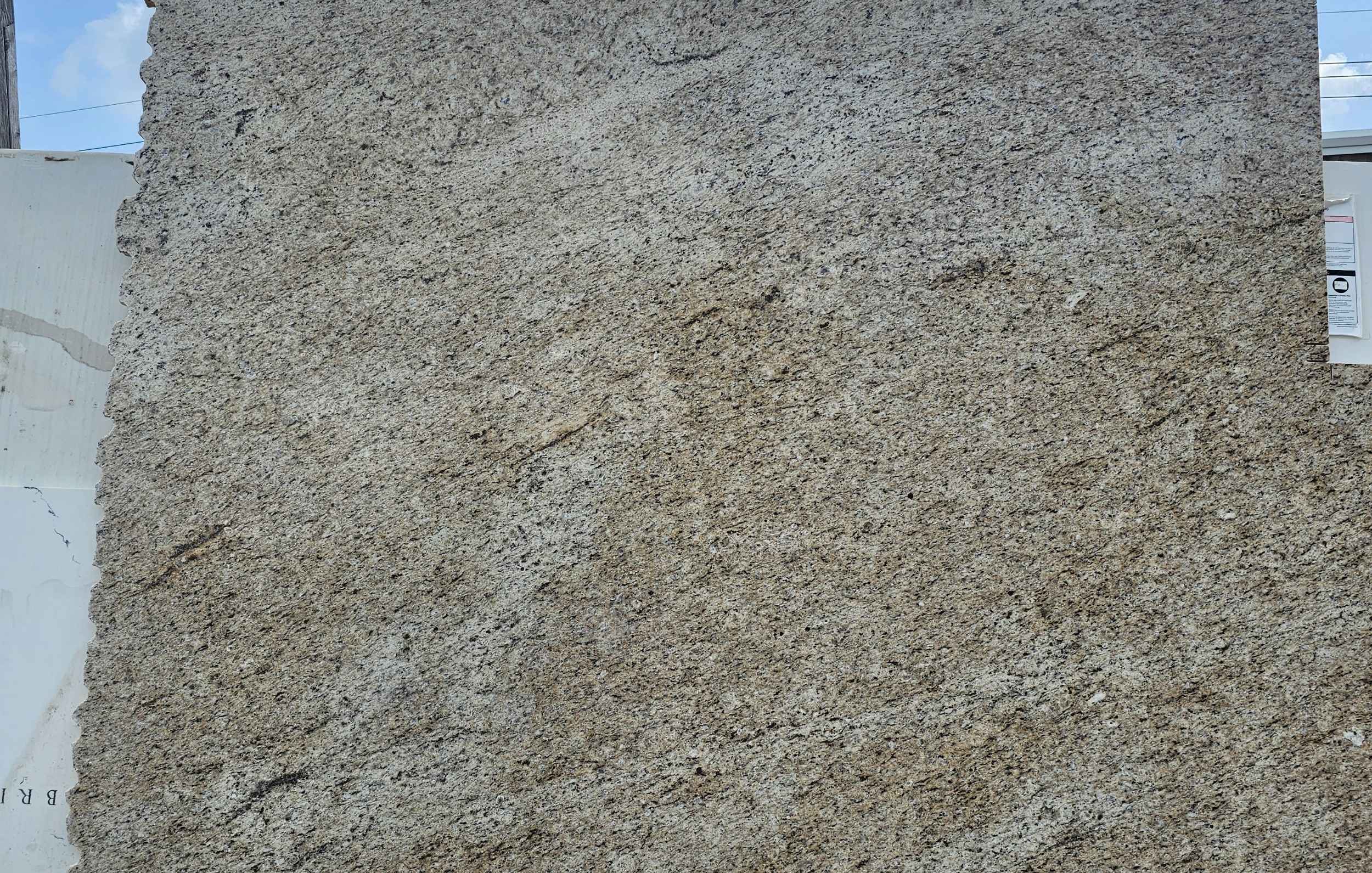 Giallo Ornamental Rem